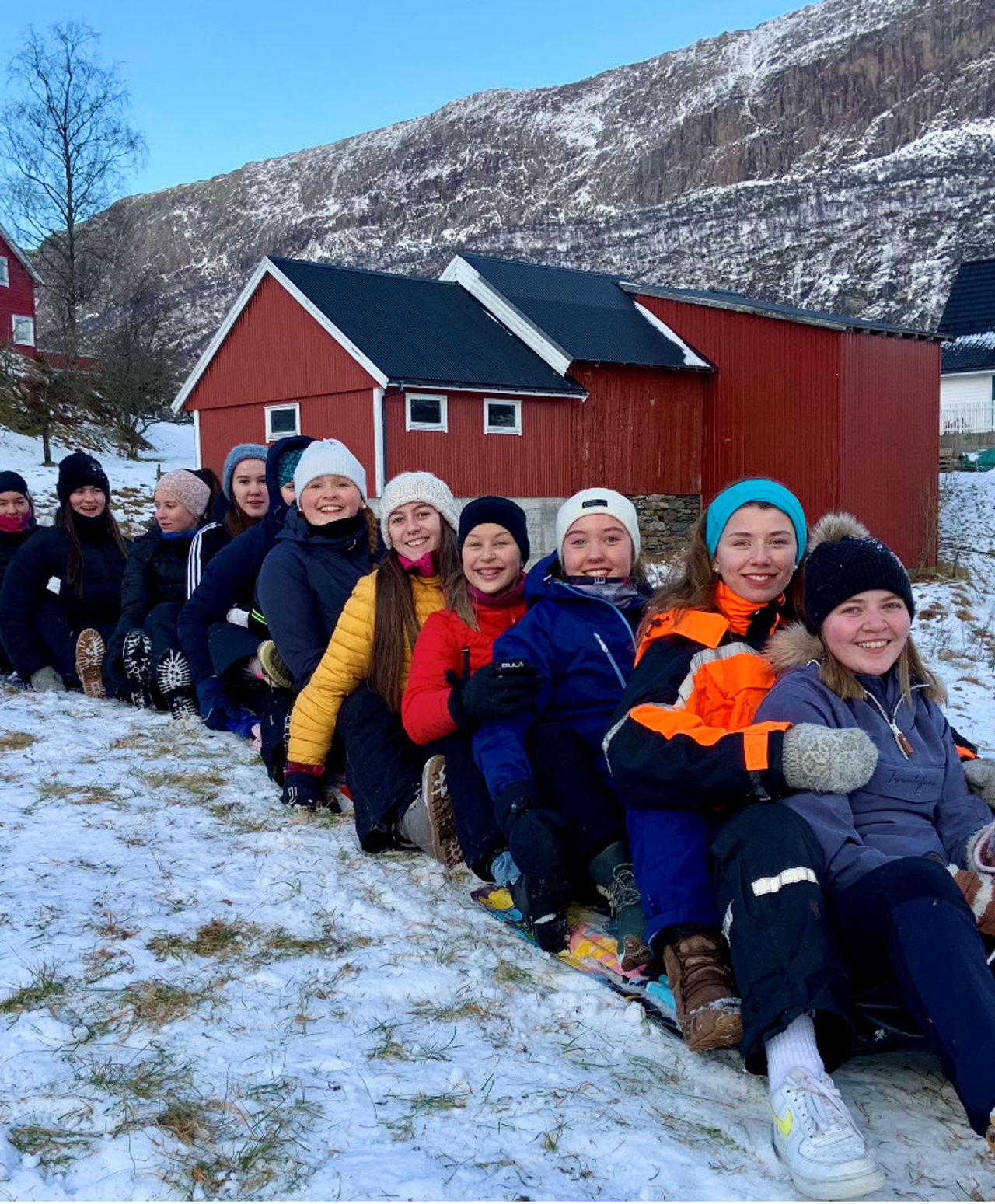 Elevar som kosar seg ute.