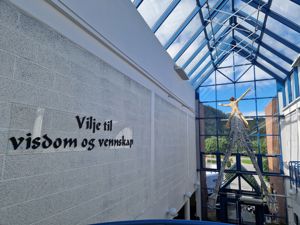 Vilje til visdom og vennskap