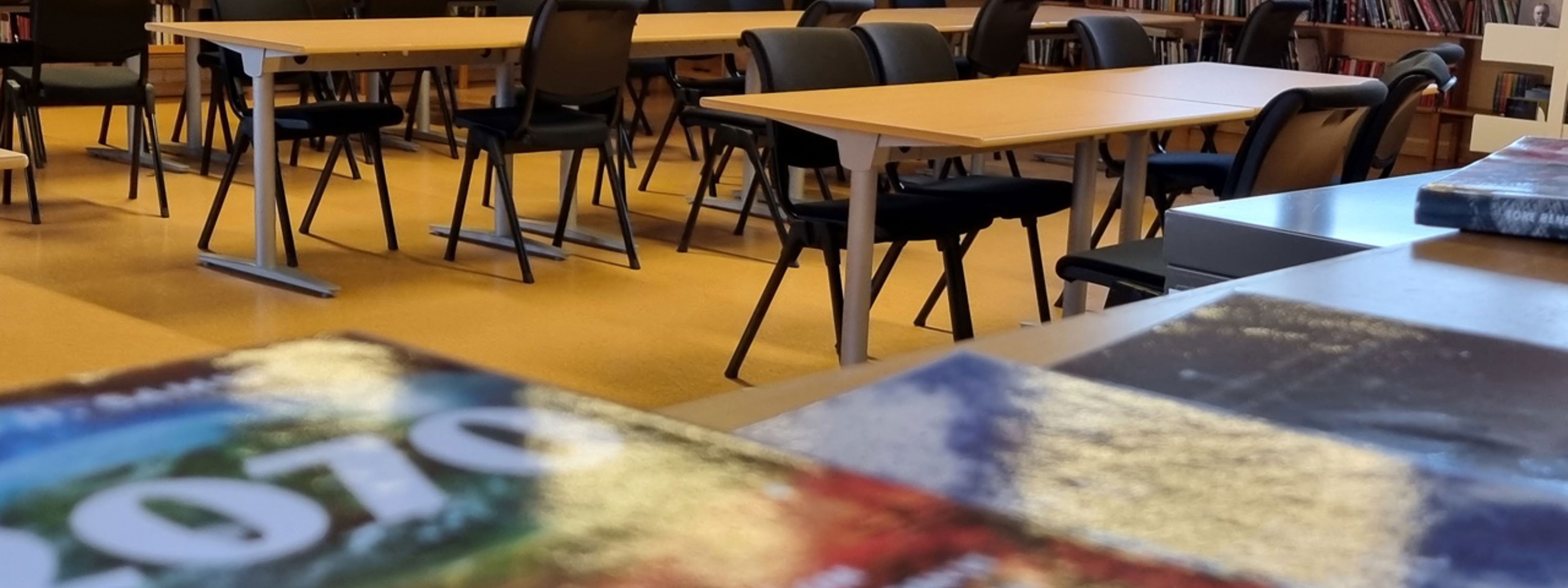 Bilde frå bibiliotek